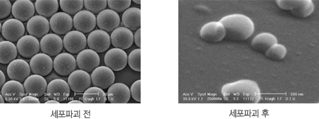 �����ı� ����